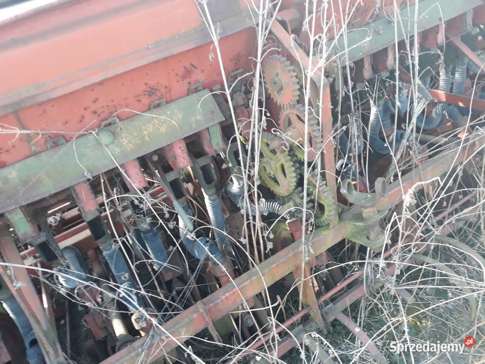 Siewnik rozyjski redlica talerzowa Przyszowice