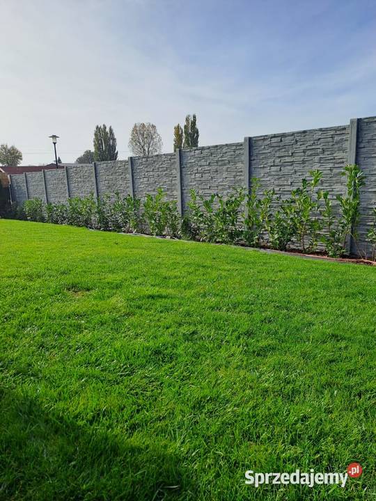 Ogrodzenia betonowe Nowoczene wzory Kłodzko