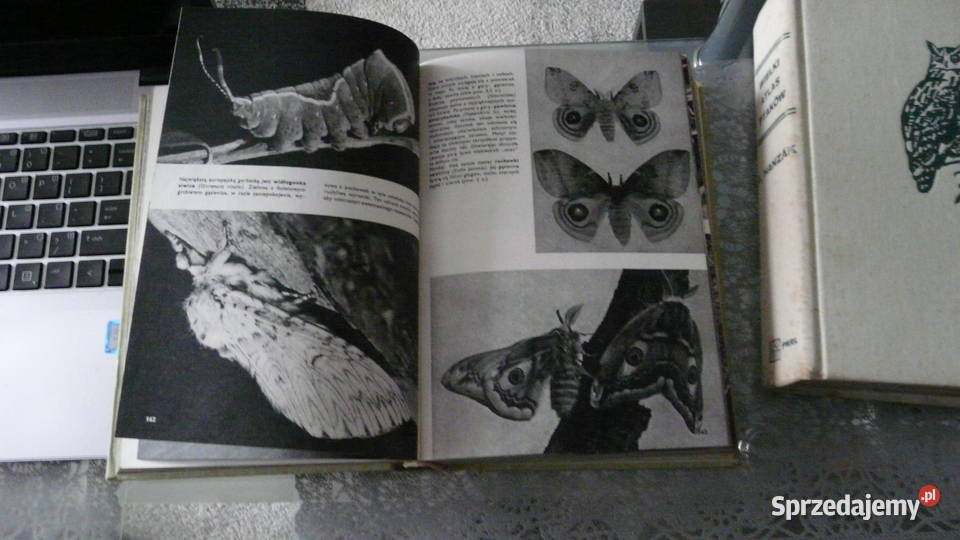 Wielki Atlas Ptaków JHanzak Wolsztyn