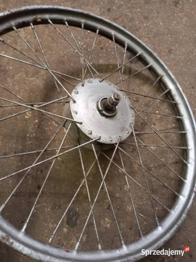 Kolo zak rys Sokołów Podlaski