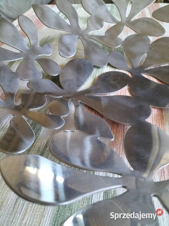 Patera na owoce stał nierdzewna lubelskie