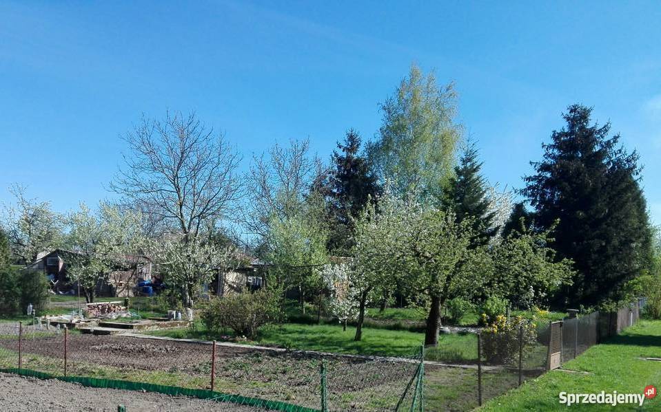 NIEZABUDOWANA DZIAŁKA ROD Budowlani Winiary w 15zł/m2 Płock