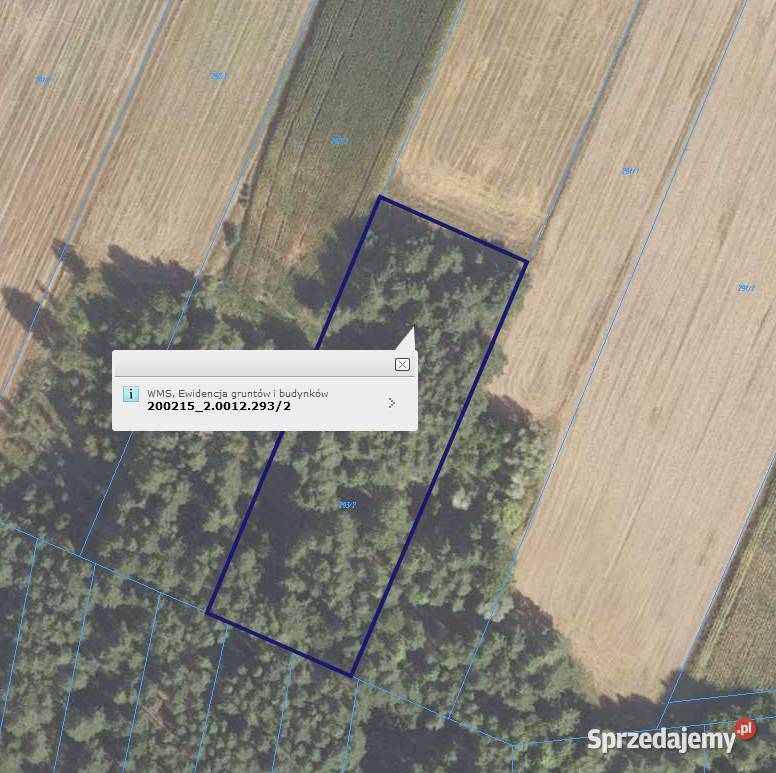 Działka Leśna 5006 m2 Łaś Toczyłowo Łaś-Toczyłowo