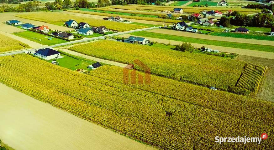 Grunt na sprzedaż 18750m2 Borek Wielki Wschodnia kanalizacja Sprzedaż