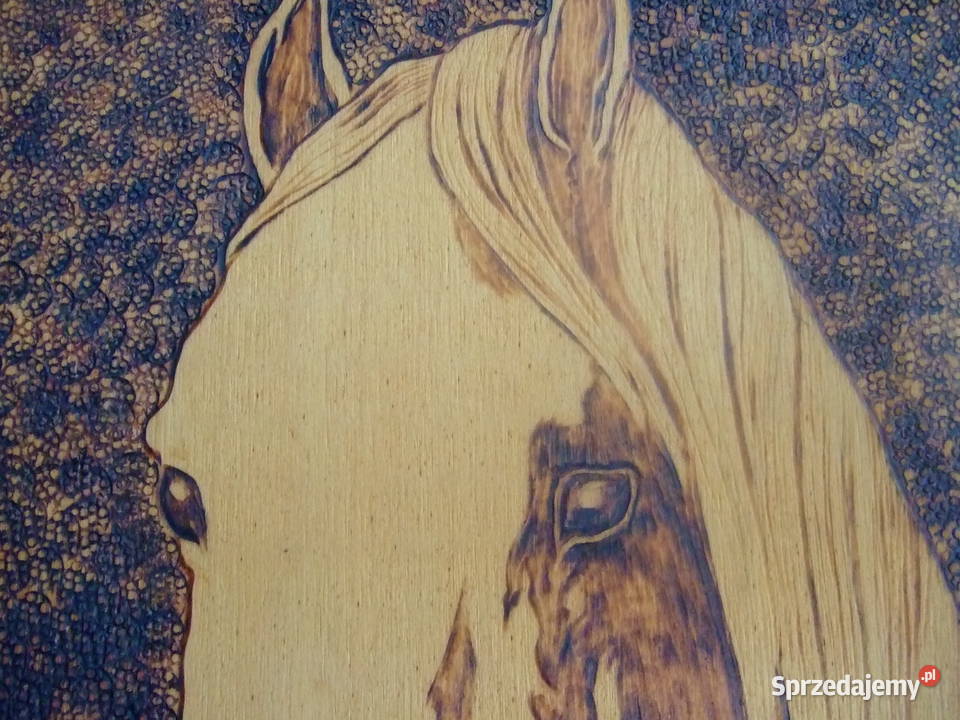 Głowa konia grafika wypalana drewno sklejka łódzkie Łódź