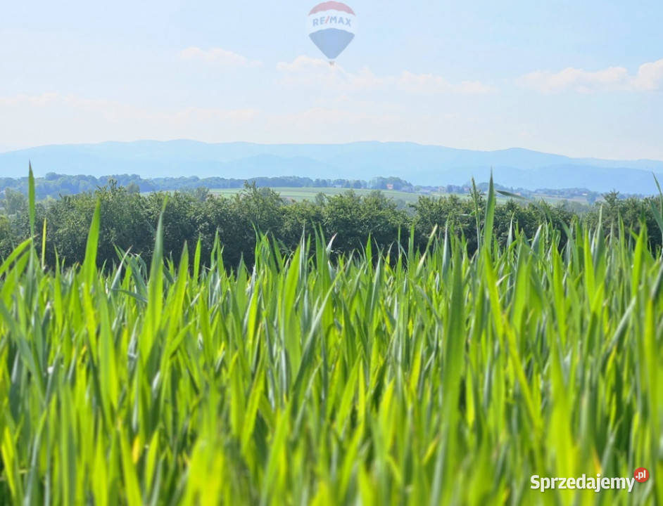 Działka z lasem i widokiem na góry 4 ha małopolskie Gierałtowice