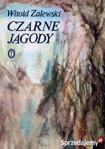 Czarne jagody Witold Zalewski FA zachodniopomorskie Goleniów sprzedam