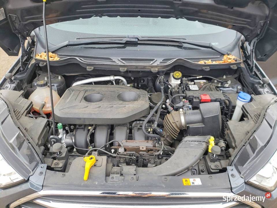 2019 FORD ECOSPORT TITANIUM Częstochowa