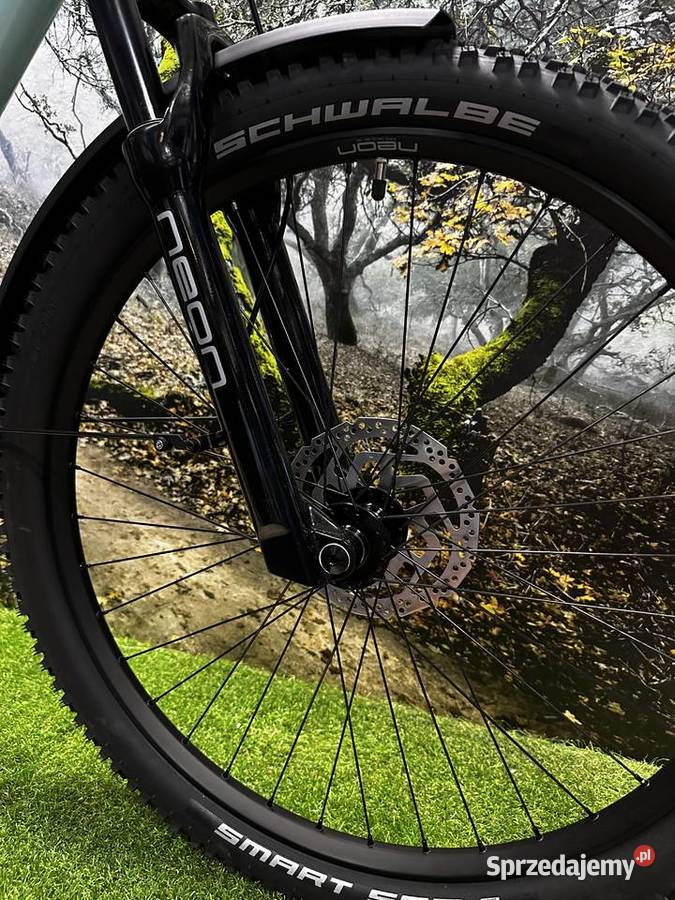 Rower Elektryczny NEON SUMMIT RHM STEPTHROUGH Elektryczne