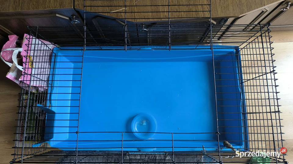 Duża klatka królika innego gryzonia 100 x 50 x Bydgoszcz
