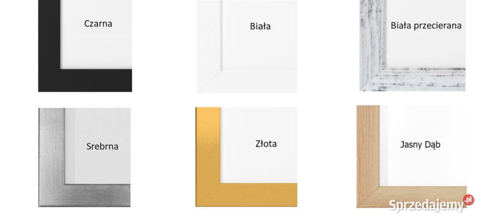 Obraz Mech Chrobotek Tryptyk 3 4050 Dekoracje i ozdoby Częstochowa