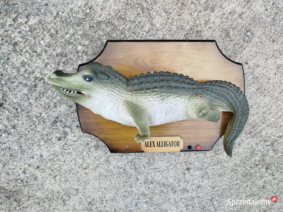 Interaktywny aligator Alex Alligator figurka Opole