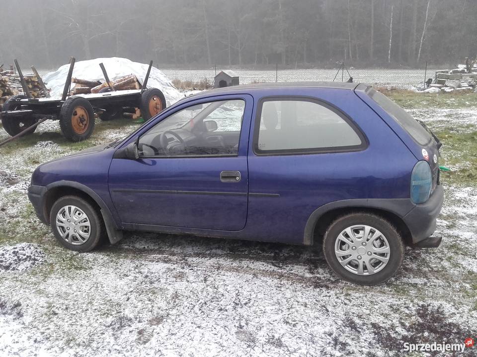 Korsinka godna Corsa wielkopolskie Stara Ciświca