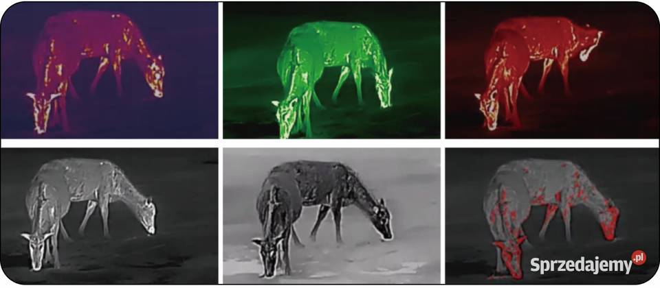 Kamera Termowizyjna Monokular Termowizyjny Pozostałe Poznań