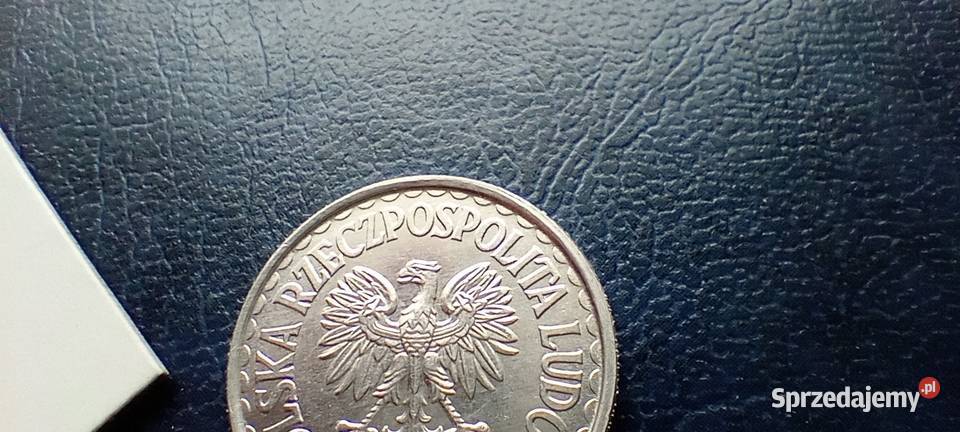 Stare monety 1 złoty 1982 PRL Polska cudo Lesko sprzedam
