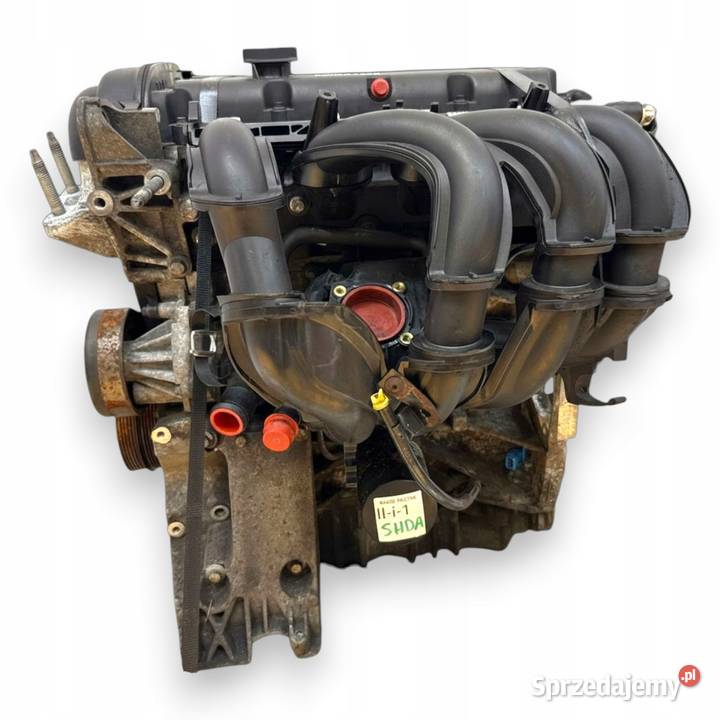 SILNIK SHDA Ford Focus II MK2 C C 16 16V 100 Chełm