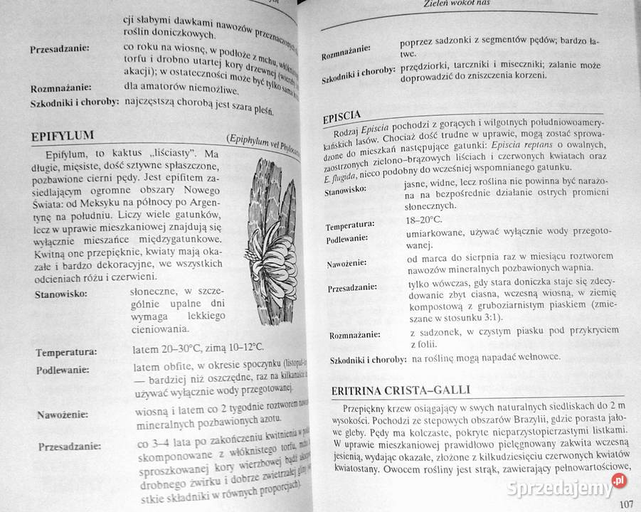 Mała encyklopedia doniczkowych roślin ozdobnych Chełm
