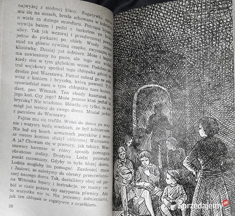 Przylecą ptaki na wiosnę Władysław Kozłowski