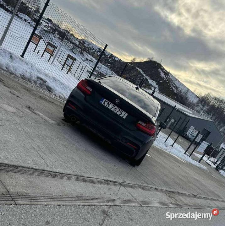 BMW F22 2014 220d wielofunkcyjna kierownica małopolskie Nowy Sącz sprzedam