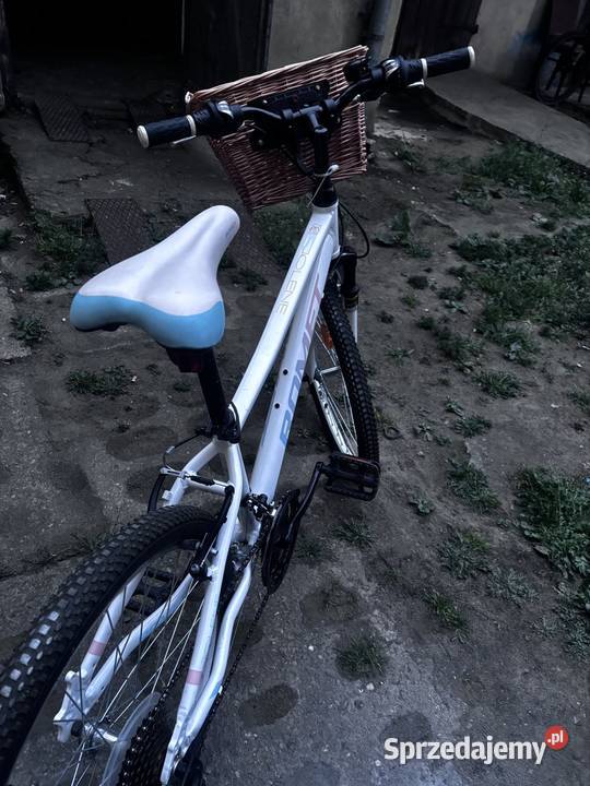 Rower Romet 24