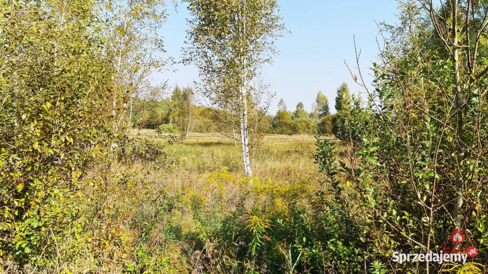 Działka na sprzedaż 5100m2 Ciasne podlaskie