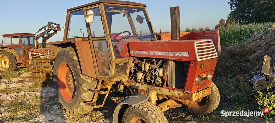 Zetor 8011 crystal świętokrzyskie Kijany