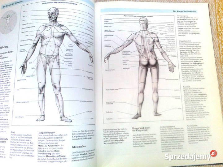 Die faszinierende Welt der ANATOMIE mazowieckie Warszawa
