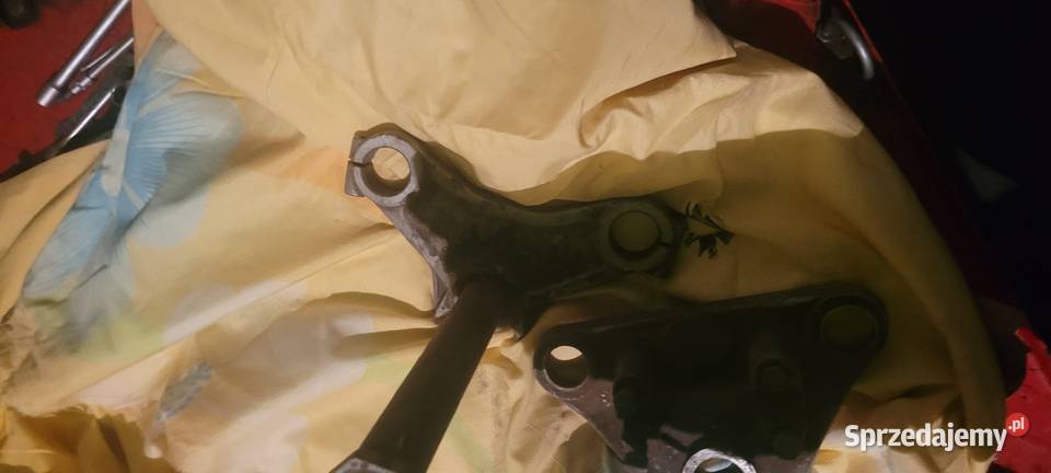 Półki mz ts Czekarzewice Drugie sprzedam