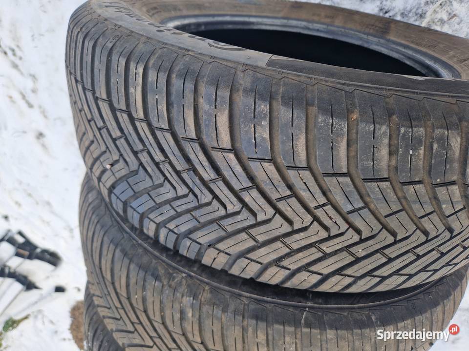 Continental wielosezon 2356016