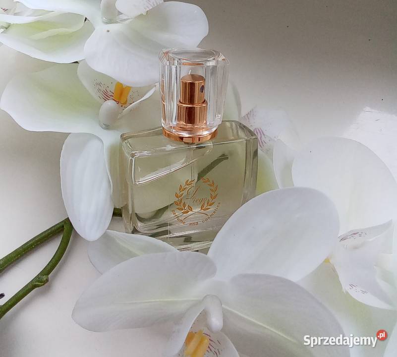 Perfum Lattafa Nebras śląskie Katowice