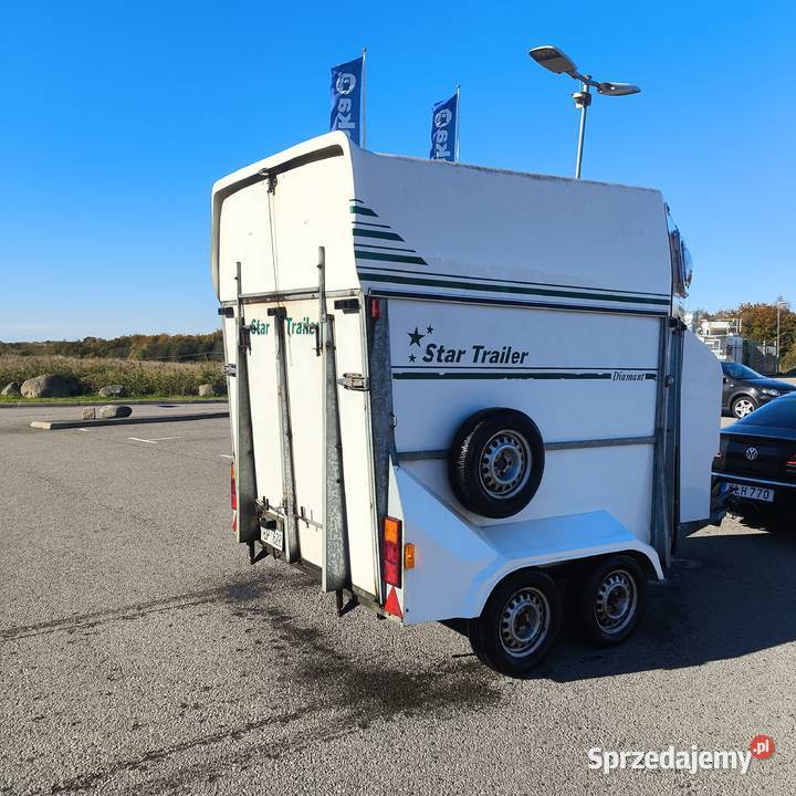 Przyczepa koni Star Trailer Dąbrowa Tarnowska sprzedam