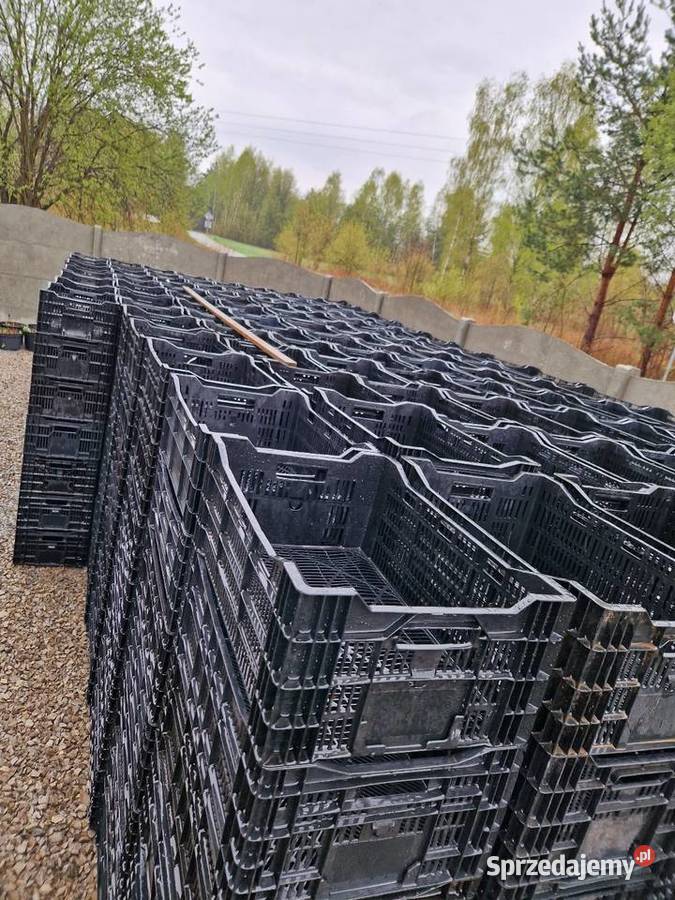 Skrzynka plastikowe Krzątka sprzedam