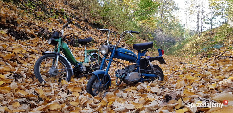 Sachs Hercules M1 śląskie Niegowonice