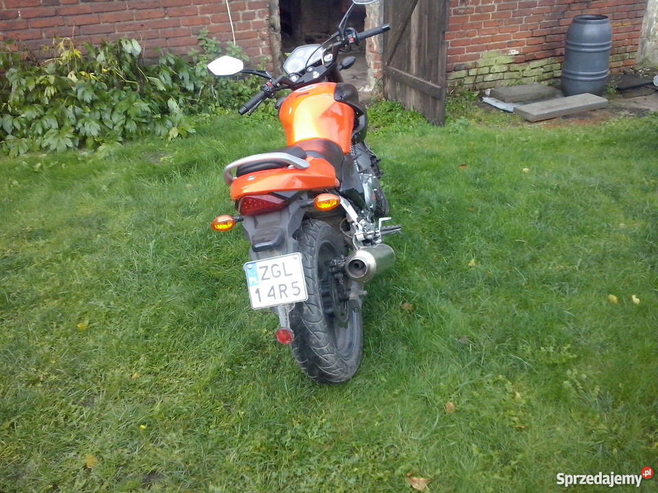 sprzedam zipp nitro 250 kupiony w Polsce Charzyno sprzedam