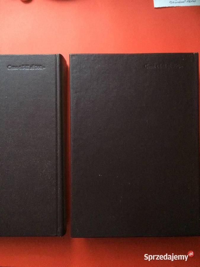 2371 Wielki Słownik Polsko Angielski zachodniopomorskie Szczecin