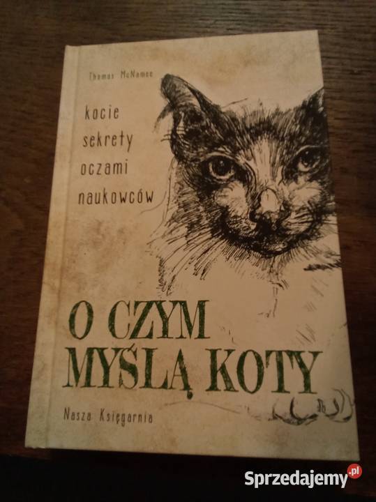 O czym myślą koty Warszawa