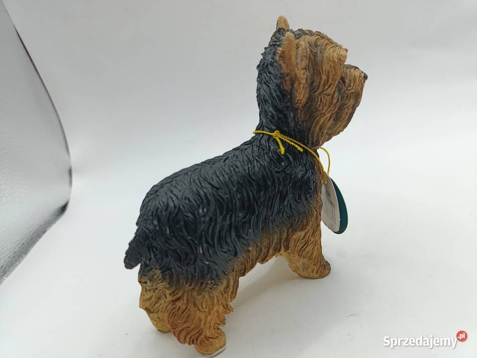 Figurka pies Yorkshire LEONARDO Dog studies lubelskie Zamość