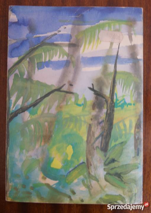 Edgar Rice Burroughs Tarzan i Złoty Lew przygodowe Proza i poezja Parczew