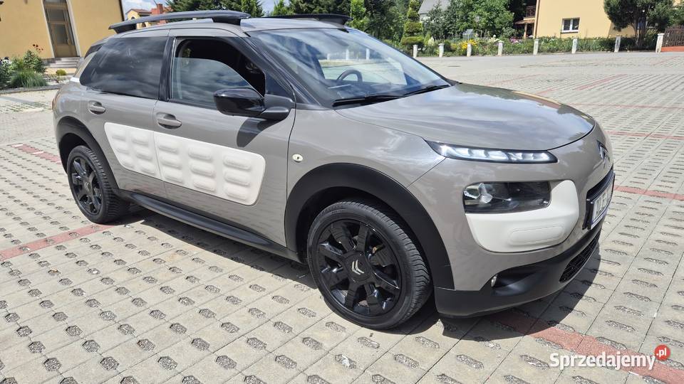 CACTUS 12 82 OPŁACONY BEZWYPADKOWY podkarpackie Rzeszów