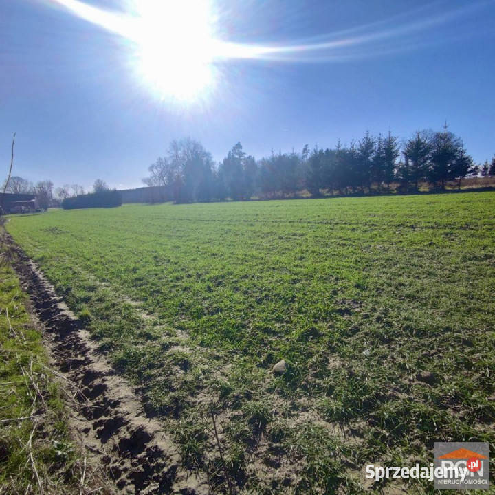 Działka 4752m2 Strzeżewko Sprzedaż