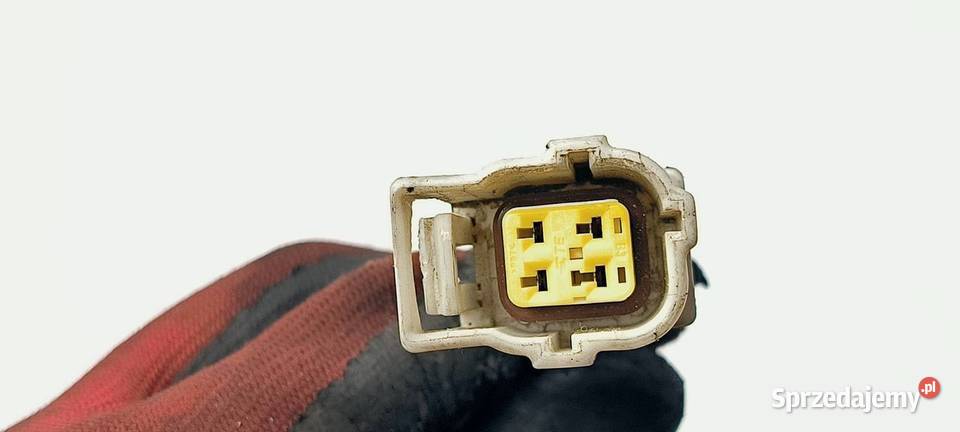 SONDA DODGE CHARGER 05149180AA kujawsko-pomorskie Lipno