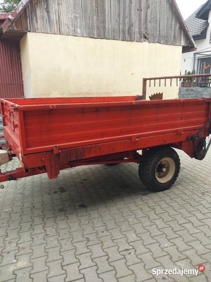 Rozrzutnik agrmet górski Jordanów sprzedam