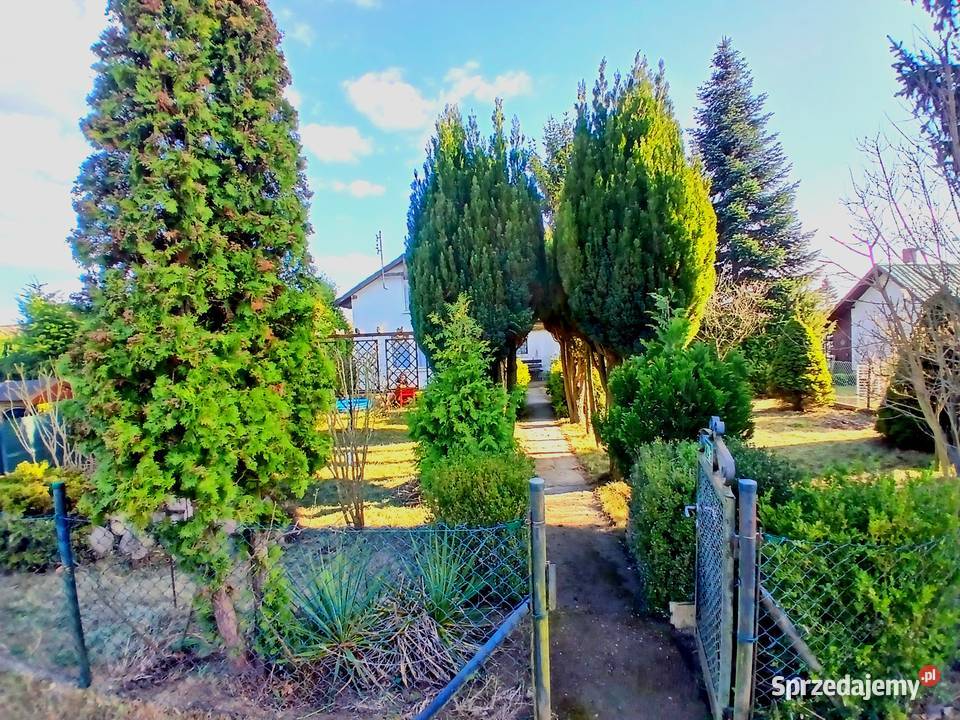 Działka ROD Szczecin Sprzedam