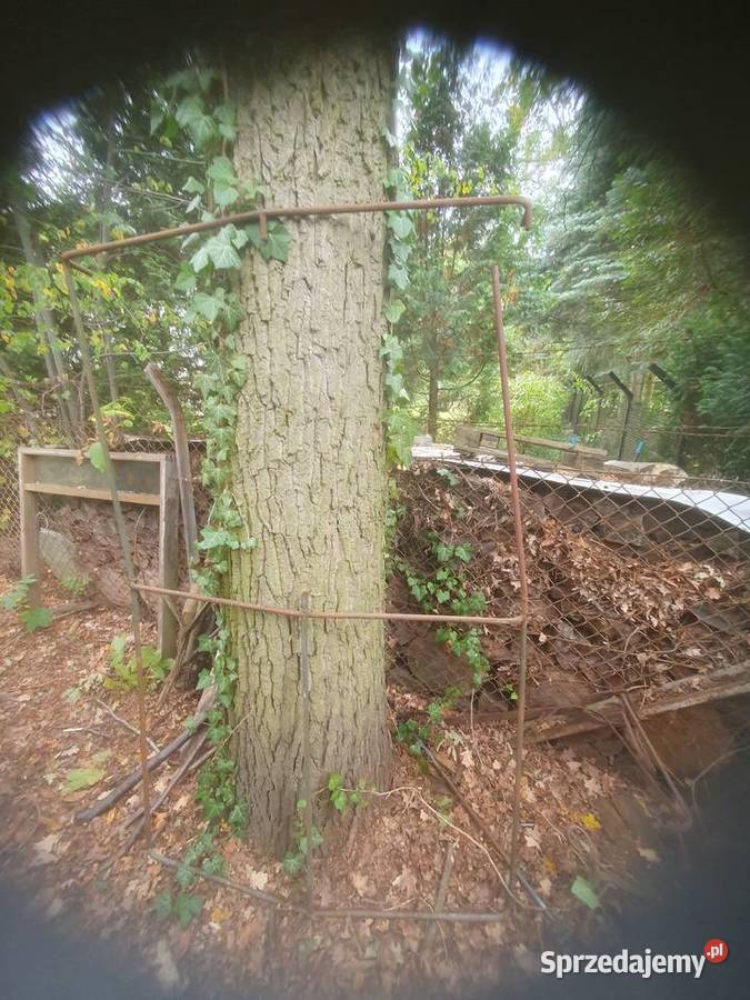 Stelaż do starej przyczepki do plandeki ogrodowy mazowieckie Warszawa