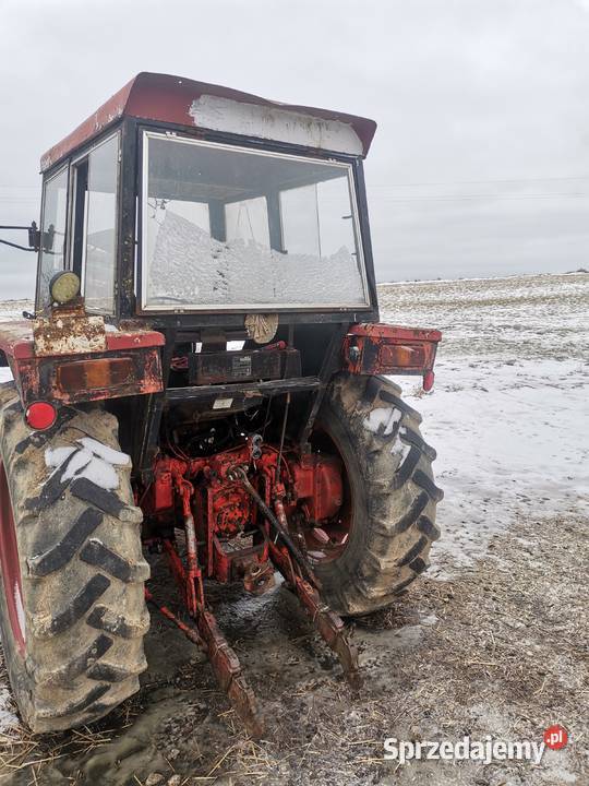 David Brown case Koronowo