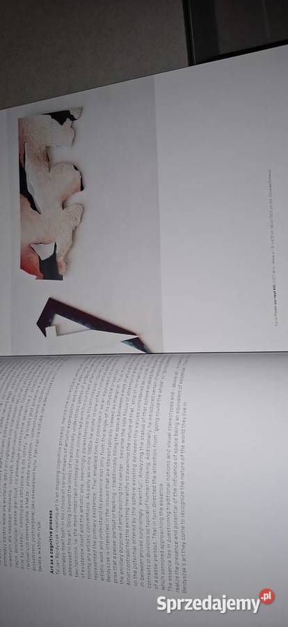 Visual Interview 01 Dictionary of Artists Poznań Swarzędz sprzedam