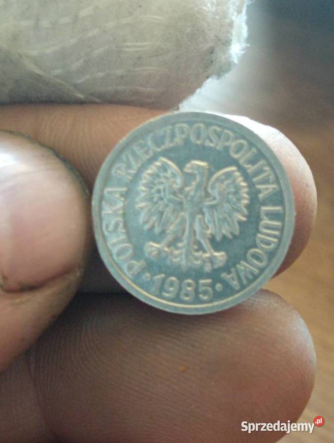 Sprzedam 10 gr 1985 r zzm Chełm sprzedam