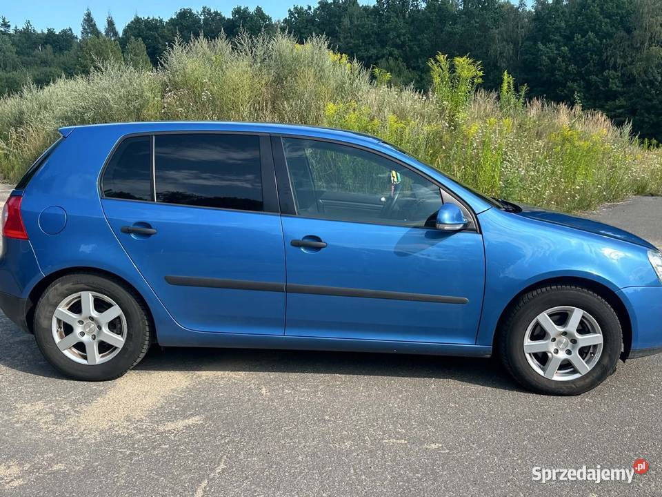 Volkswagen Golf V 2004 16 FSI 116 niebieski Zgorzelec