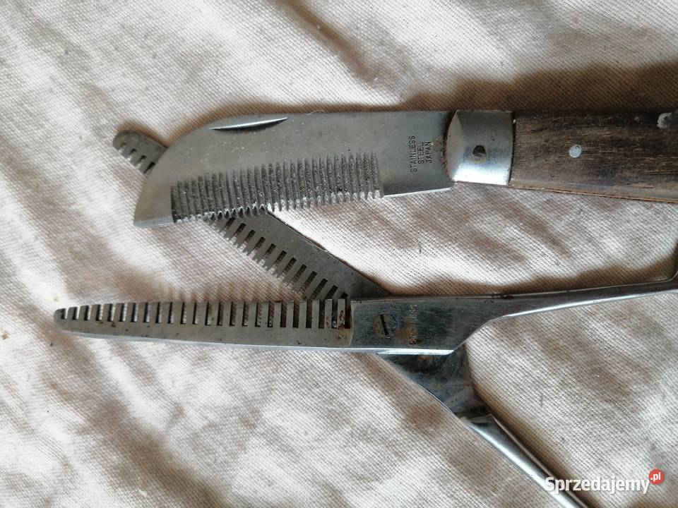 nożyczki degażówki konia Legnica