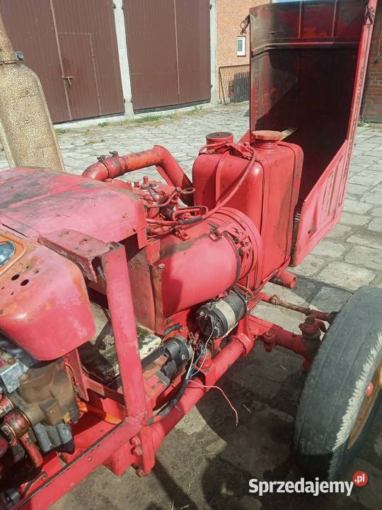 Sprzedam t25 Gęś